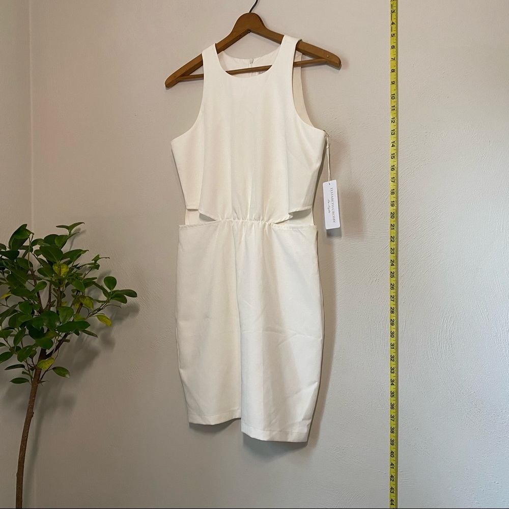 NWT Elizabeth Crosby Vanessa Cutout Dress